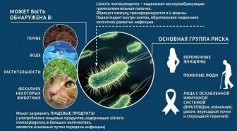 Профилактика листериоза 